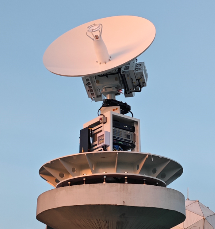 2026.3.12植树节2 2026.3.12植树节2